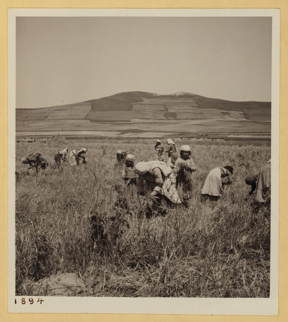 Alawite women and children in the fields in Syria in 1938. >Library of Congress, Prints & Photographs Division, [LC-DIG-ppmsca-17414-00190]