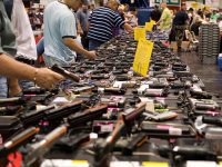 Separating Truth and Myth in the American Gun Debate