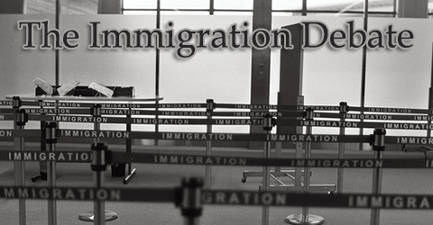 What is the Fate of Immigration Reform in the 113th Congress?